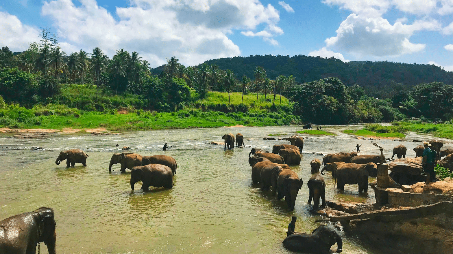 Yala National Park Sri Lanka