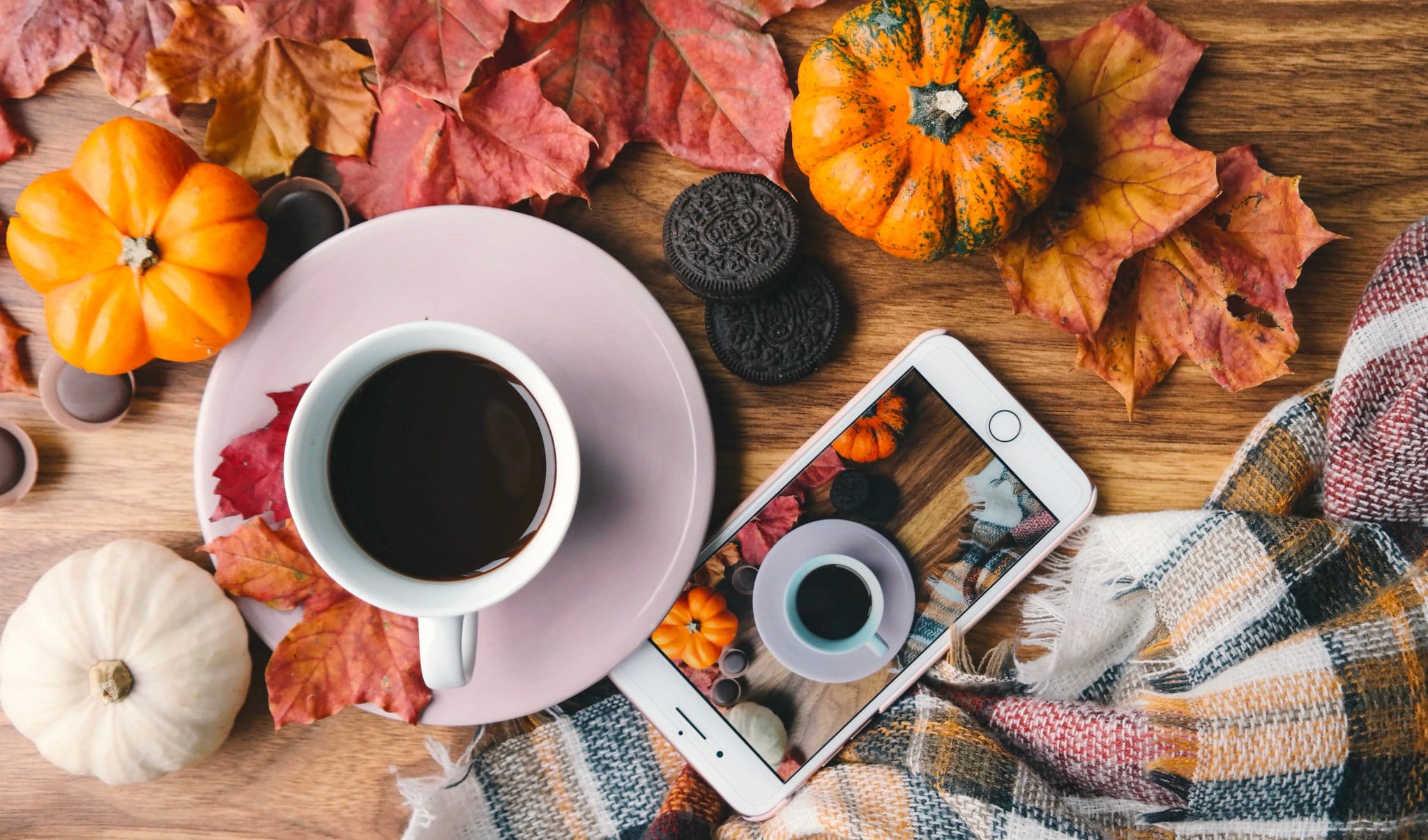 cafe feuilles d'automne et téléphone pour travailler à Paris