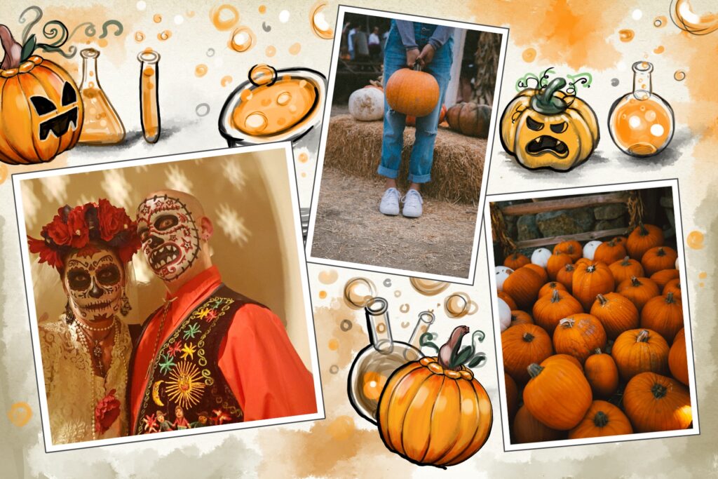 carte postale Halloween avec citrouilles et potions