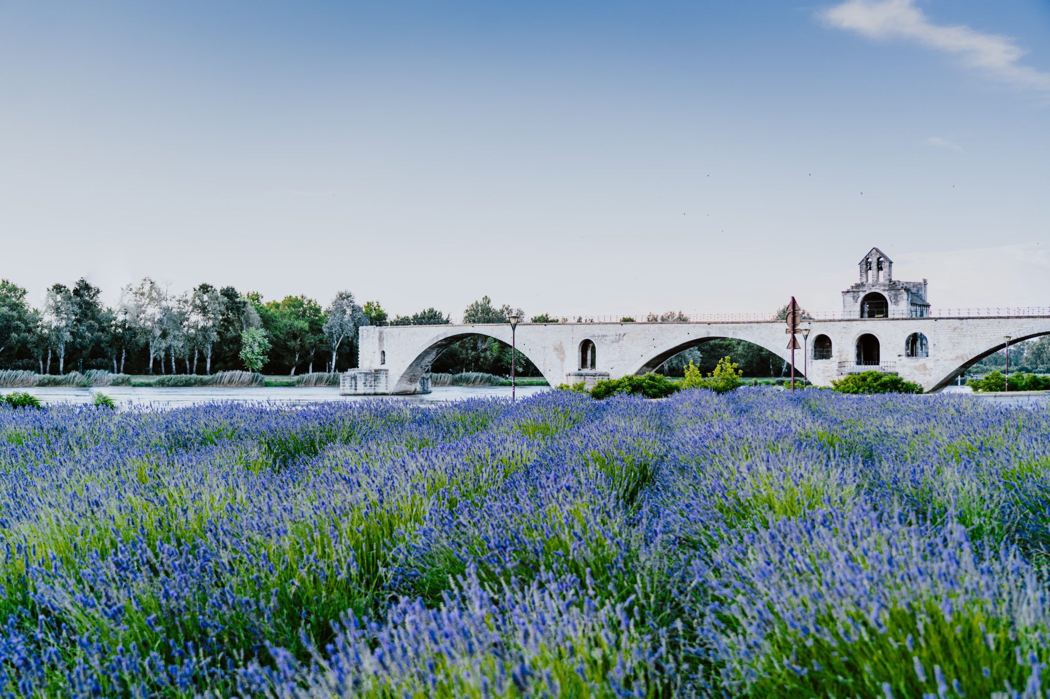 pont avignon week-end en France