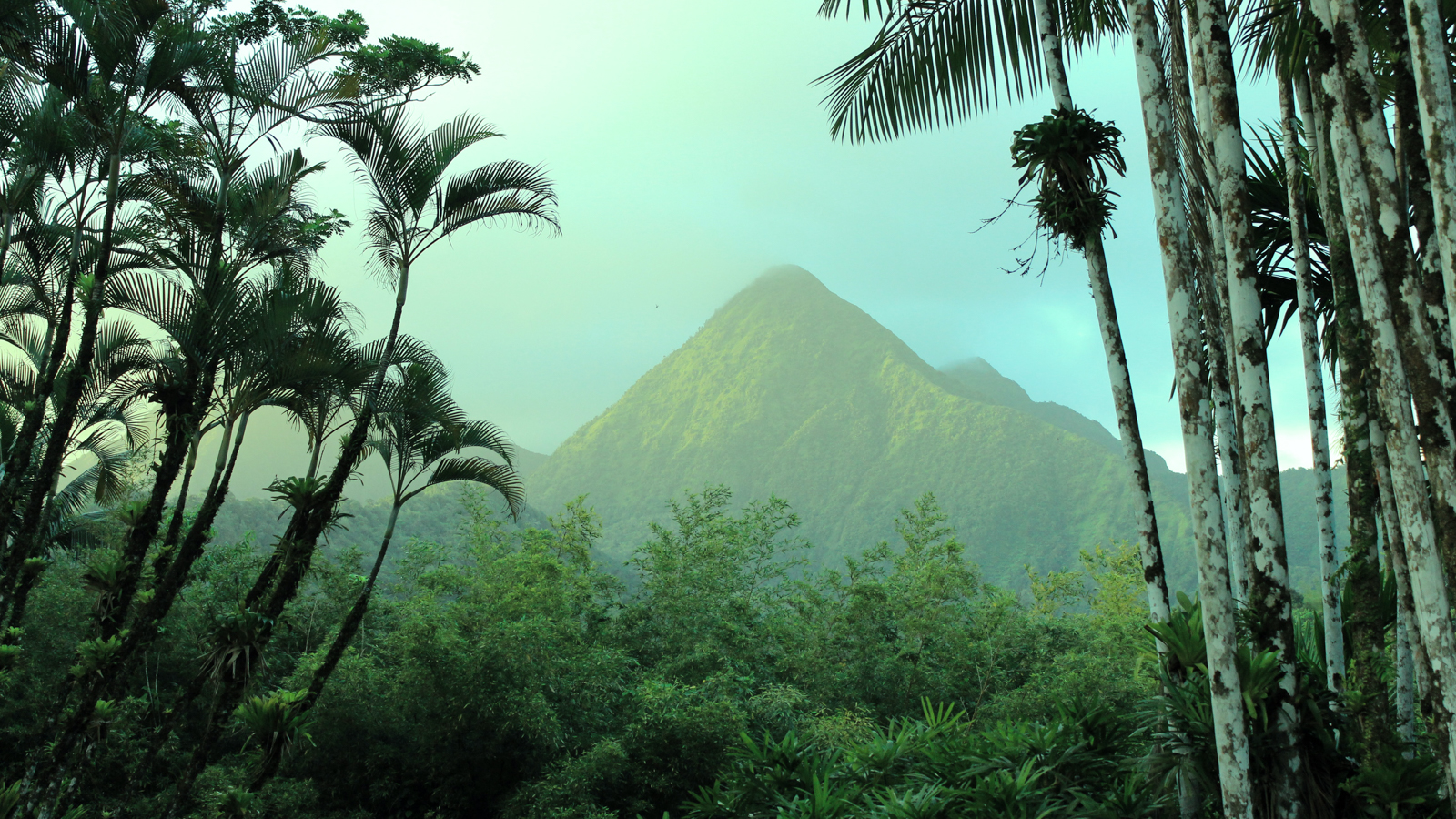 Guide vacances en Martinique