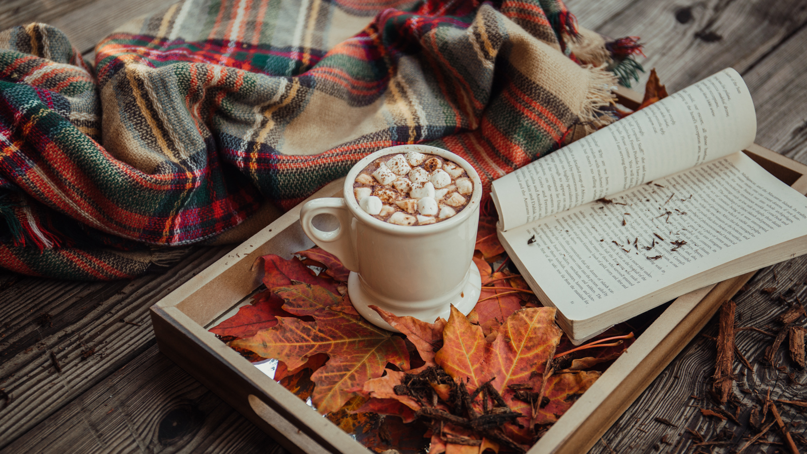 chocolat chaud, plaid, livre pour soiree cocooning reussie