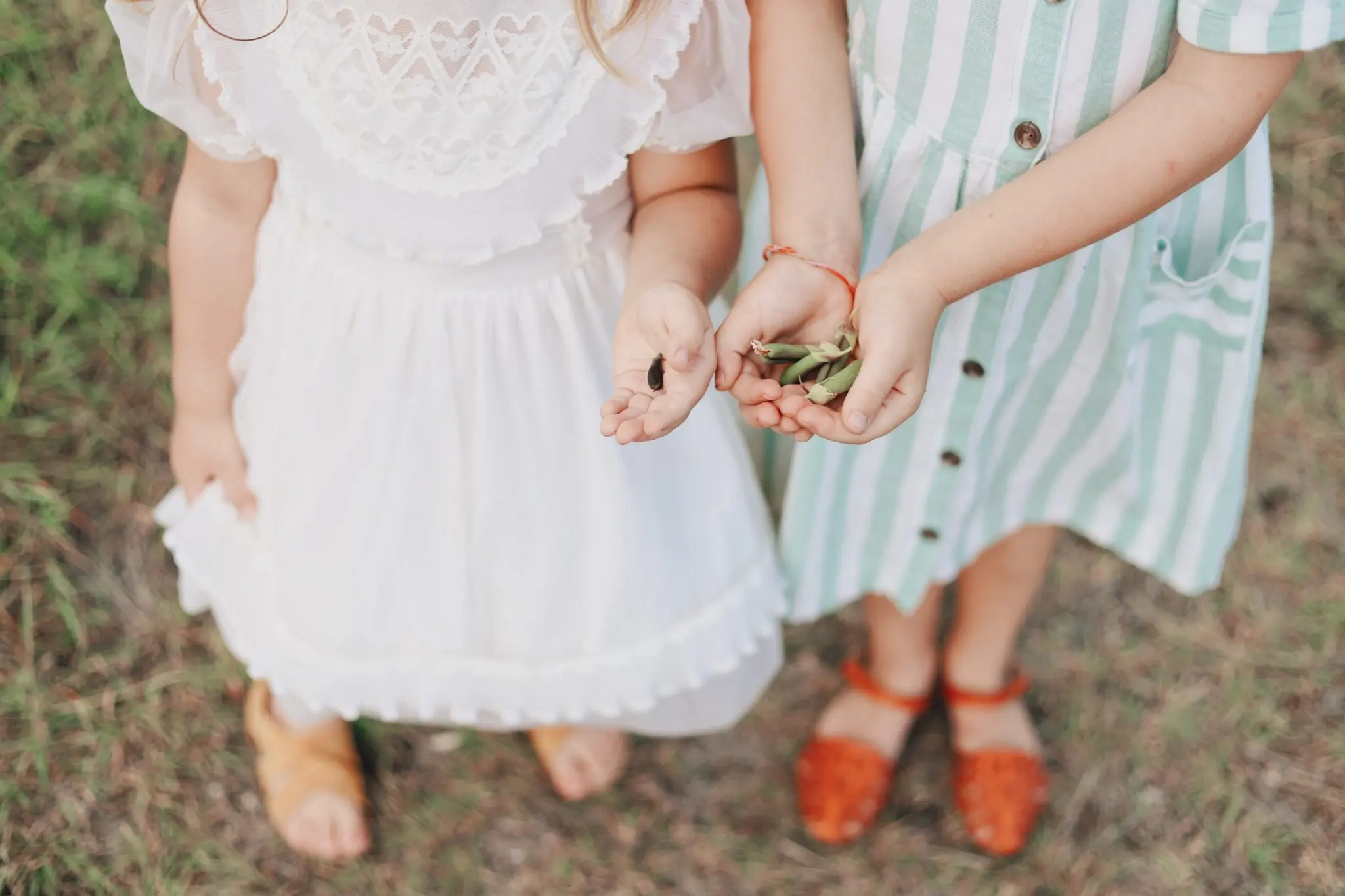 mains d'enfants portant des fleurs sechees pour herbier