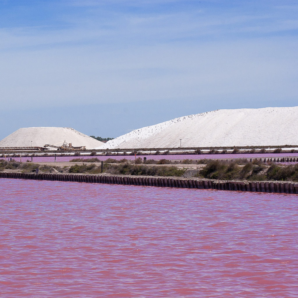 marais salants aigues mortes