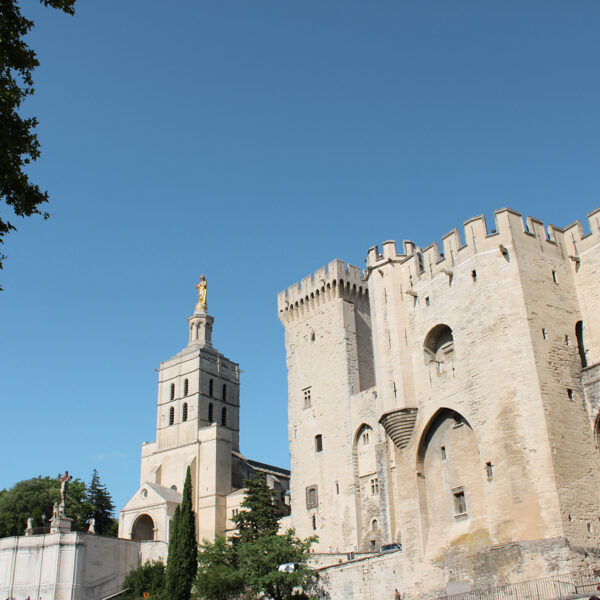 cathedrale-notre-dame-doms