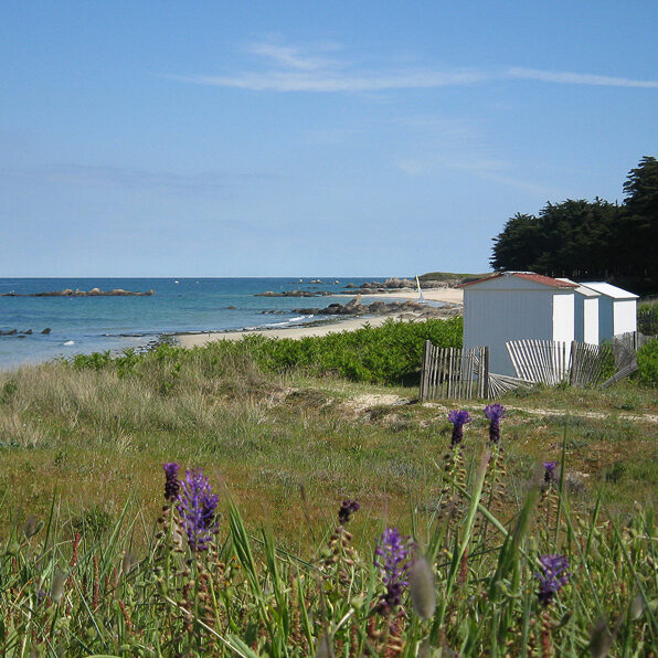 ile d’yeu avec maison plage et fleurs