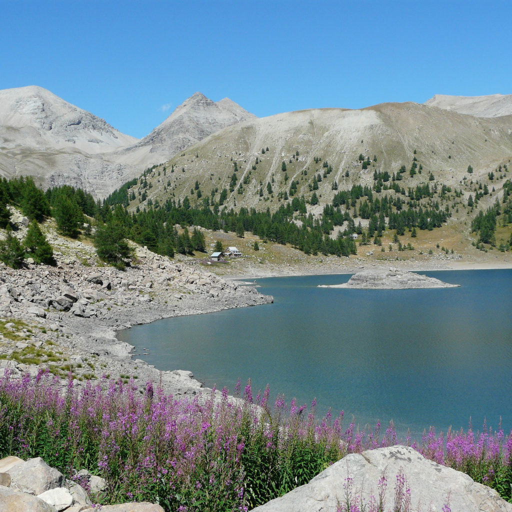 lac dans le mercantour avec bruyere