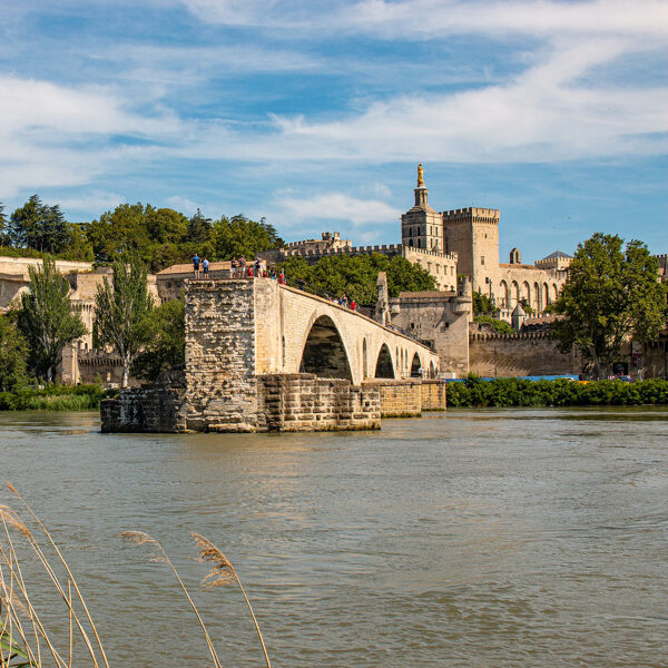 pont-avignon