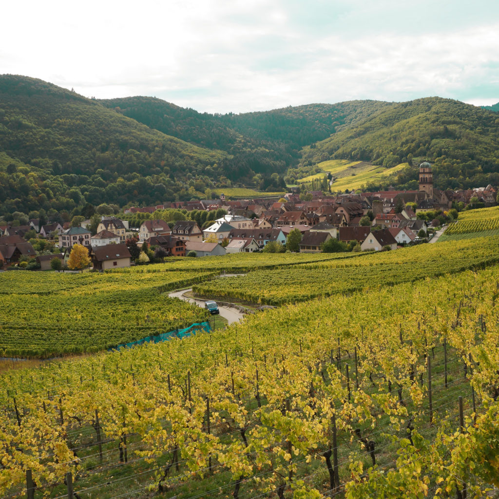 route vins alsace vignobles