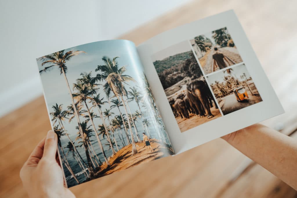 album de voyage avec photos elephants et palmiers