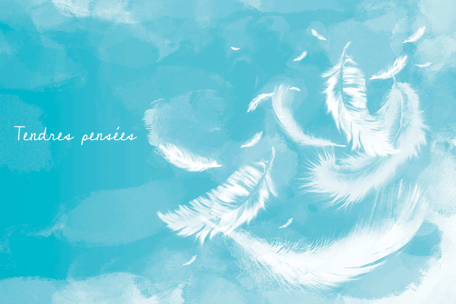 carte de condoleance bleue avec plumes
