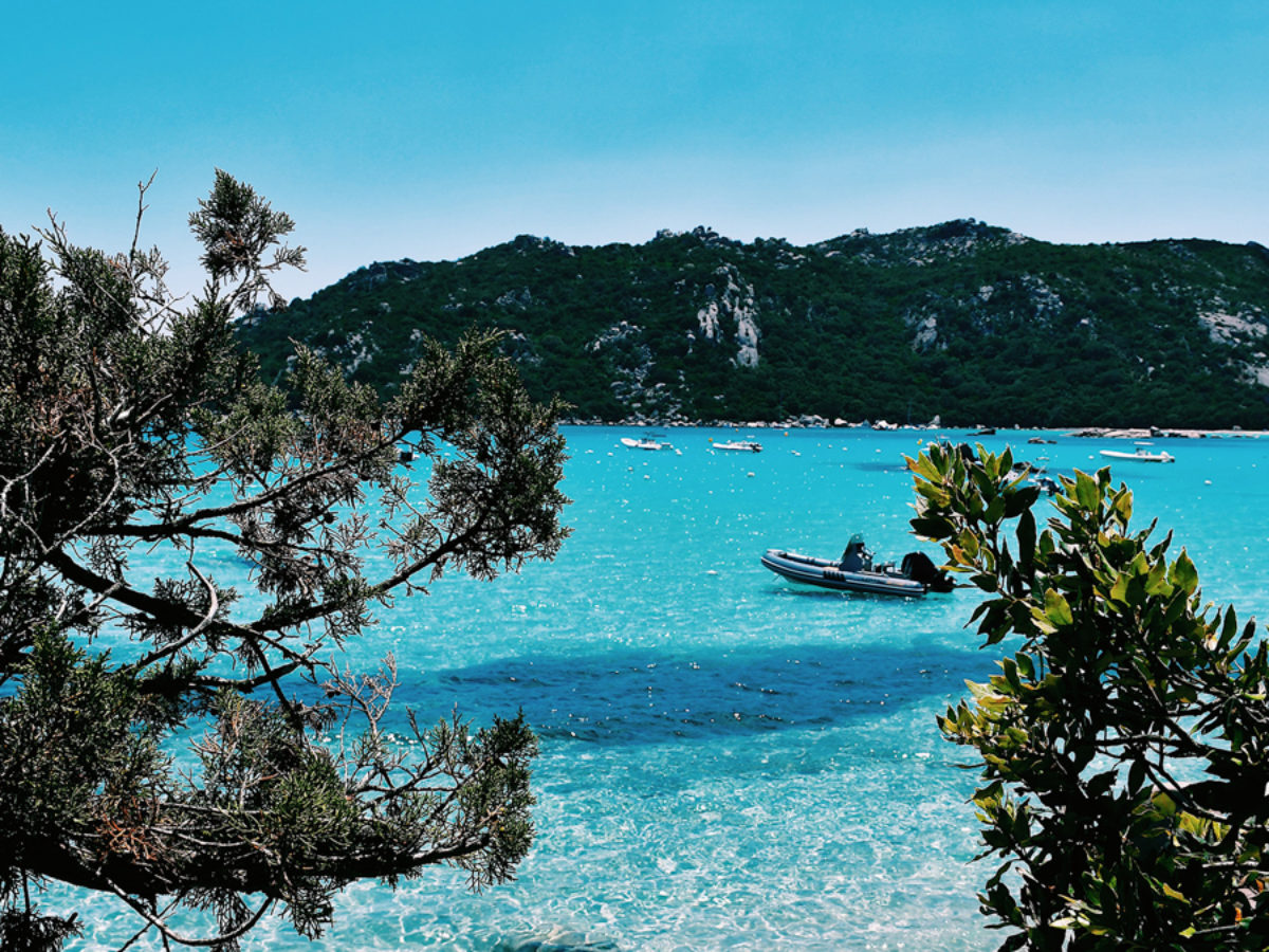 Ou Reserver Votre Location De Vacances En Corse Du Sud Fizzer